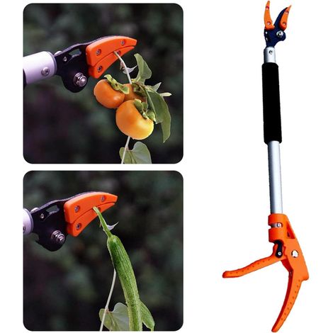 Élagueurs sur perche – Coupe-branches compacts et à courte portée  Élagueurs sur perche rotatifs, cisailles de jardin, élagage sur perche
