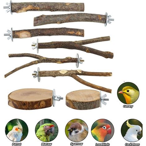 Juego de 8 perchas para pájaros, Perchas de madera natural para loros, Percha de tronco de árbol, canarios, cacatúas y agapornis, Color madera (1/5)