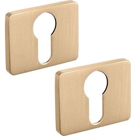 Letrero rectangular para insertar oro (1/2)