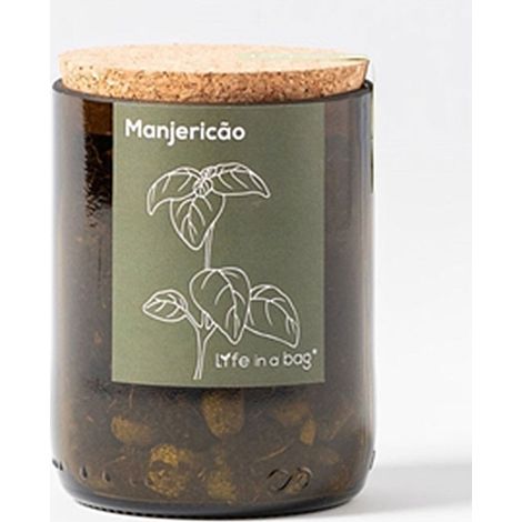Kit bouteille Prêt à pousser Basilic (1/2)