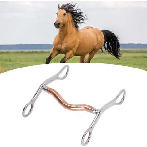 Foret en acier inoxydable pour embout de cheval, foret pour embout de cheval d'extérieur pour jardin et aquaculture, anneau pour embout de cheval (1/5)
