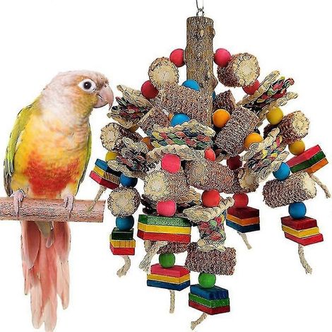 Blocs de bois multicolores pour oiseaux, jouets à mâcher naturels pour perroquets africains, perroquets amazones, P (1/5)