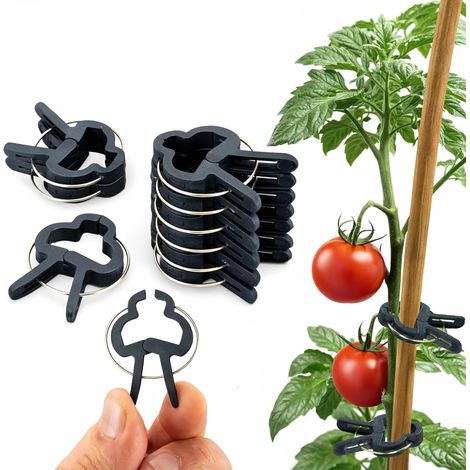 60 Clips pour Plantes (4cm) - Attache Tomate, Attache Plante, Clips Tomates Réutilisables, Support Grimpantes, Fixation Facile au Jardin