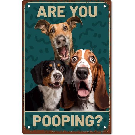 3Dogs Tin Sign Toilet Sign Vintage Are You Pooping Kind Reminder Poster Retro Painting Iron Plaque Wall Art Hanging for Toilet Home 12 x 8 Inches (1/5)