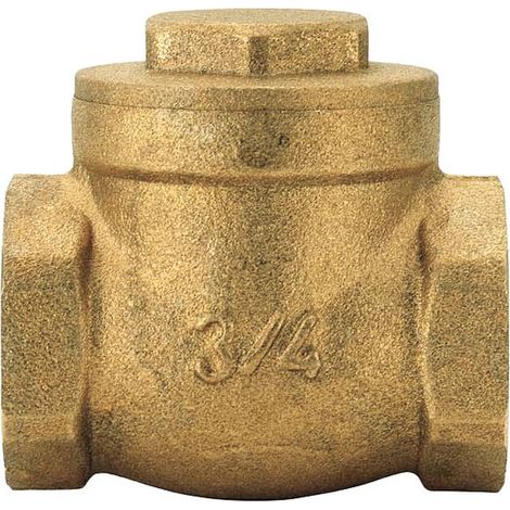 SCELTO DA DESIVERO Clapet ff c/ten gomma sb 2" codice prod: DSV05917 (1/3)