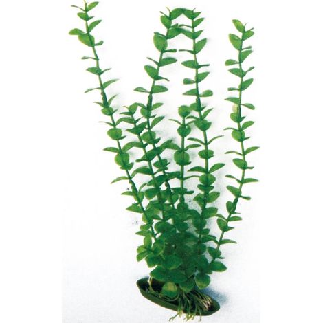 Decorazione piantina Rotala Amtra in plastica per acquari