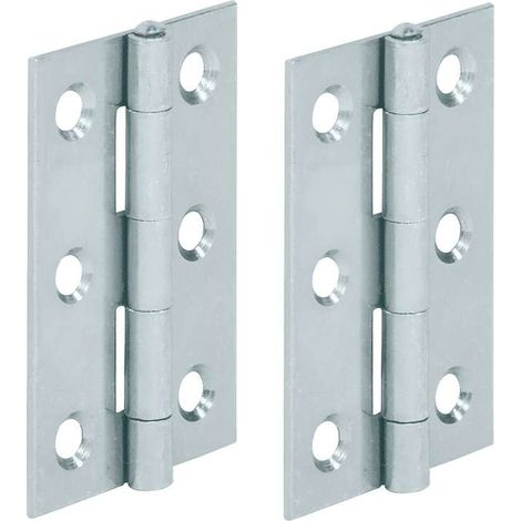 Cyclingcolors – Lot de 2 charnières plates en acier 50 x 39 mm – Pour meubles en bois – Charge maximale 30 kg – Pour portes de placard et étagères de cuisine (1/2)