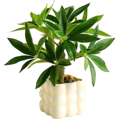 Bouquet de fleurs artificielles, fleurs en plastique longue durée, pot à bulles carré décoratif + arbre à monnaie vert (1/2)
