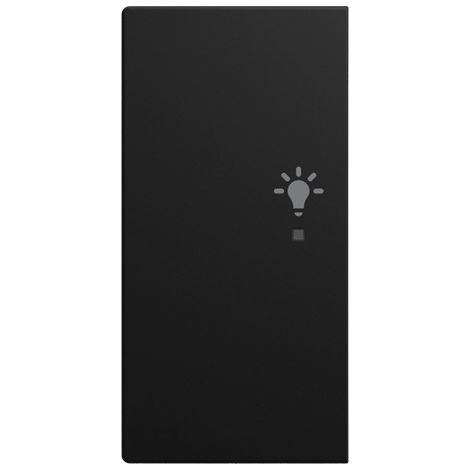 Busch-Jaeger Bascule 2x gauche Symbole "Lumière" 2x noir mat - Busch-balance® SI (6231-21-915), 2CKA006220A1005