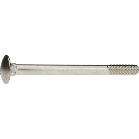 Reidl DIN 603 Flachrundschr. Vierkantansatz M 12 x 160 A4 blank, ohne Mutter (1/4)