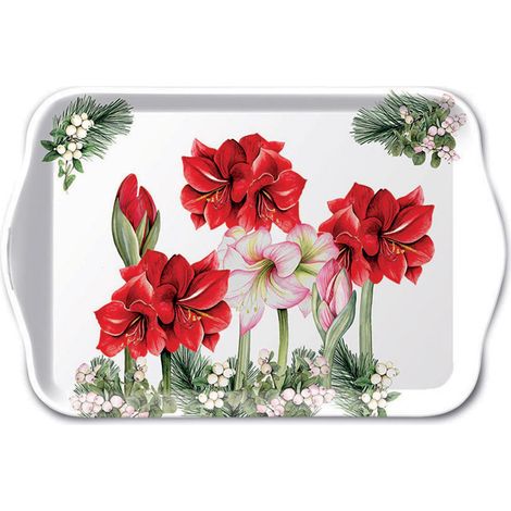 Mini plateau Amaryllis rouge (1/2)