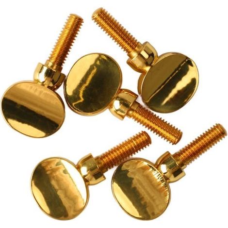 Garosa Saxophone Vis Cou Saxophone en Laiton, 5 Pièces Serrage de la Vis de Serrage Haute Dureté Sax Cou Vis instruments saxophone-Ywey (1/4)