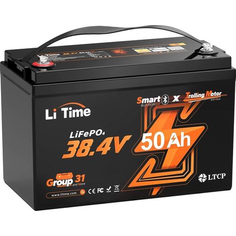 Batterie LiFePO4, avec Recharges Profondes, 1920Wh, 15000 Cycles, 50Ah, Surveillance Bluetooth, noir (1/5)