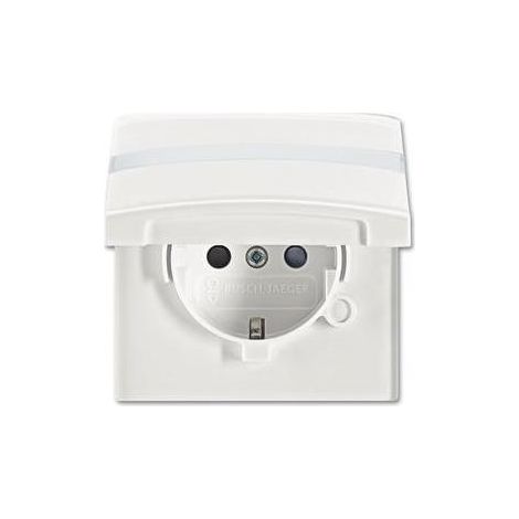 Busch-Jaeger 20 EUGKBN-34-101 SCHUKO® Steckdosen-Einsatz mit Klappdeckel und Beschriftungsfeld (1/5)
