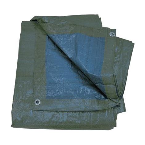 Telone Occhiellato Verde In Polietilene 80 Gr/Mq Mt. 12X8 Bordato E Rinforzato