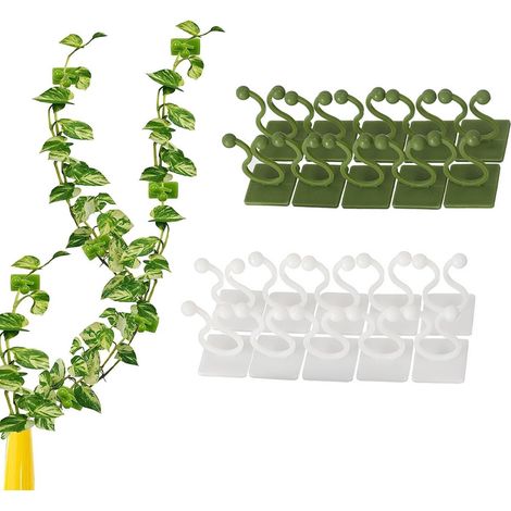 Pflanzenclips – Rankhilfen für Kletterpflanzen – Pflanzenstützen – Pflanzenstäbe – Gartenclips – Kabelorganisatoren – Wandmontierte Pflanzenclips...