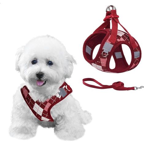 Harnais Chien Anti-Traction, Carreaux Harnais pour Petit Chien avec Laisse Réglable Respirante, Sécurité Réfléchissante pour l'entraînement à la Marche, Rouge XXS (1/5)