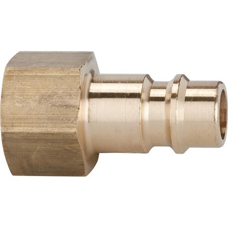 Riegler Nippel für Kupplungen NW 7,2 - NW 7,8, Messing blank, G 1/2 IG (1/2)