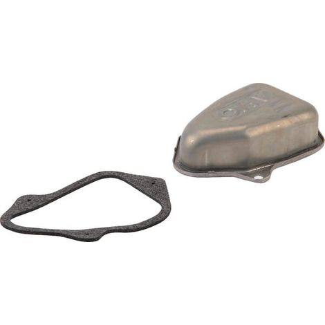 Cache soupape BRIGGS ET STRATTON 595349
