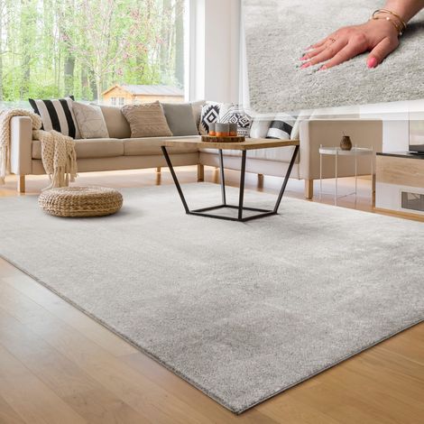 Tapis Salon Moelleux Ultra Doux à Poils Courts - Antidérapant, Lavable, Confort Idéal pour Salon et Chambre, Dimension:300x400 cm, Couleur:Argent (1/5)