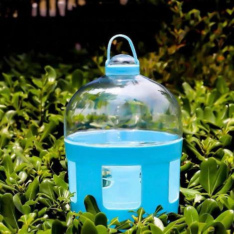 Distributeur d'eau automatique pour pigeons, abreuvoir pour perroquets, distributeur d'eau facile à utiliser, Cl-4L- (1/4)
