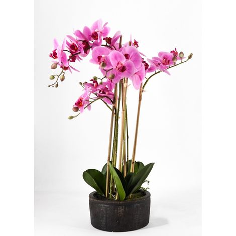 EDG Enzo De Gasperi Orchidea Phalaenopsis Real con Vaso Ramo x6 Artificiale H 72,5 Cm Fuchsia (1/4)