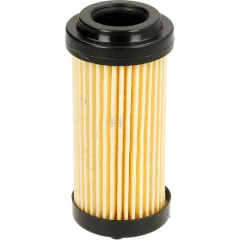 Filtre GIANNI FERRARI 0032030010 (1/4)