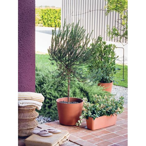 Pflanztopf Origin 29 cm L x 29 B x 29 H x 24