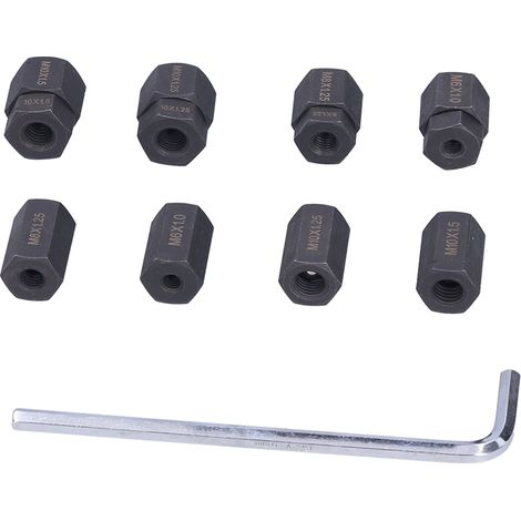 Kit de 9 Extracteurs et Poseurs de Goujons Auto sans Abîmer les Filets M10 M8 M6 (1/5)