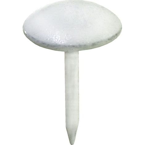 Polsternägel Ø 9,0 x 12,5 mm Rundkopf- & Polsternägel