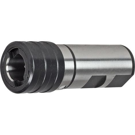 Cambio Rapido Del Mandrino M6-20 25X63Mm Fortis