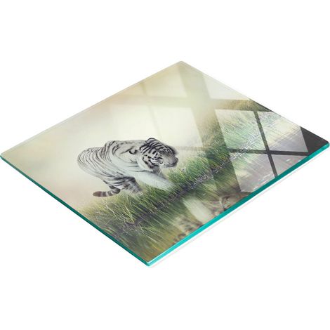 Tablero de vidrio decorativo multifuncional para cocina, dise帽o Tigre Blanco, 60x52 cm