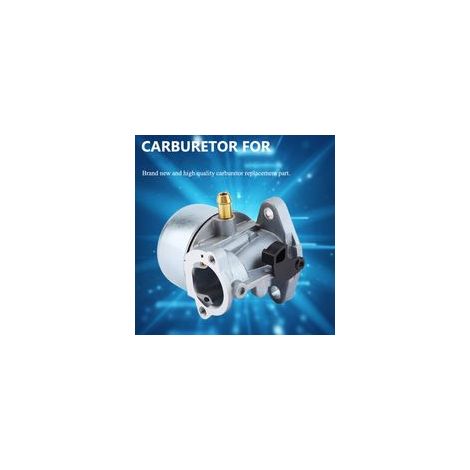 Carburateur pour 497586, 498170, 799868, 498254, 497314 - Pièce de rechange moteur (1/5)