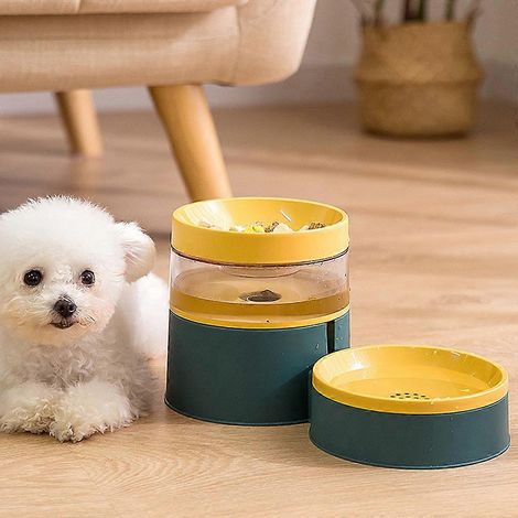 Ensemble de gamelles élégantes pour chat avec distributeur d'eau anti-basculement (1/4)