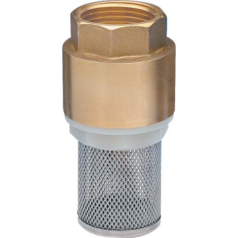 Valvola anti-ritorno con filtro in acciaio inox F20x27 NOYON & THIEBAULT