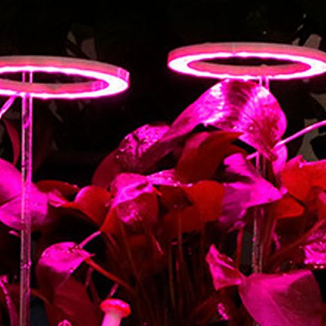 Lampe de croissance LED à spectre complet avec minuterie et 5 niveaux de gradation, lampe d'appoint USB pour la culture de plantes succulentes en serre, lumière rose-violette. (1/5)
