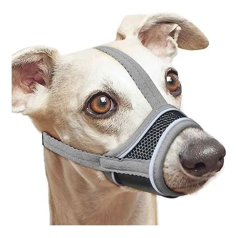 Muselière Chien, Masque Respirant pour Animaux de Compagnie, Museliere pour Chiens Ajustable, Muselière de Formation de Chien pour Petits Chiens, Moyens, XS (1/5)
