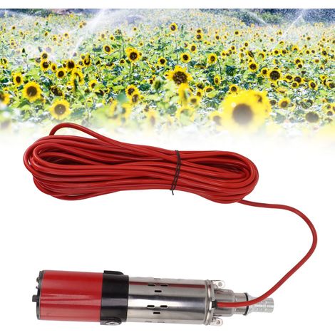 Pompe à vis électrique DC 12V 220W moteur à balais carbone hauteur de levage 30m matériau stainless steel taille outlet thread 25mm (1/4)