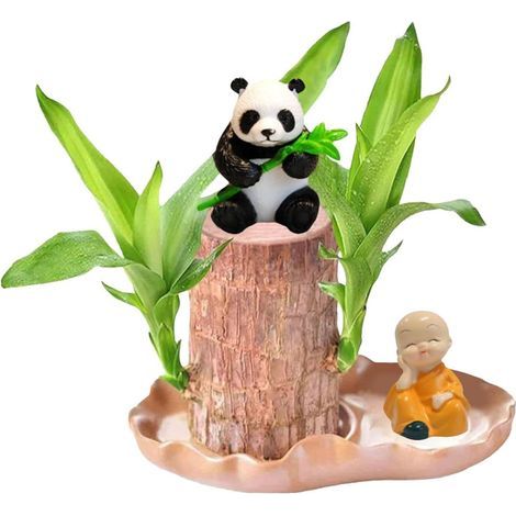 Plante en bois porte-bonheur avec statue de moine panda, ensemble de plantes hydroponiques en bois brésilien, facile à cultiver, arbre porte-bonheur brésilien, mini Brésil - Décorations pour pots (A) (1/5)