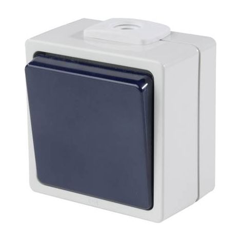 AS Schwabe 62450 Interruptor en superficie gris IP54