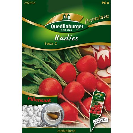 Quedlinburger Saatgut – Radis Saxa 2 – Semences enrobées, graines de légumes, variété précoce à racines rondes (1/2)