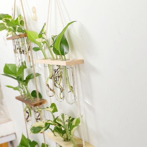 Wandmontierter Glaspflanzkasten für Hydrokultur – Khaki