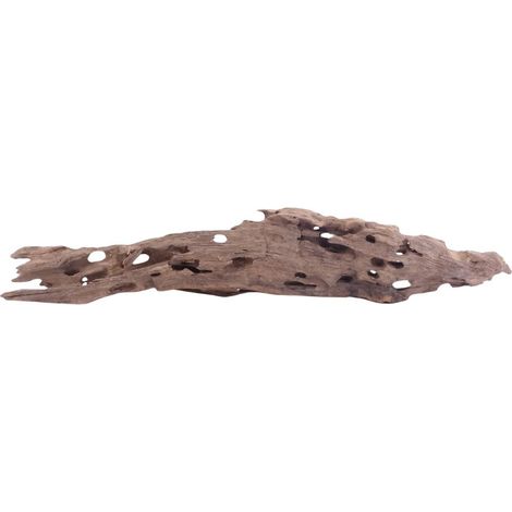 XL Honey Comb Wurzel Nr.5160 Holz Deko Aquascaping