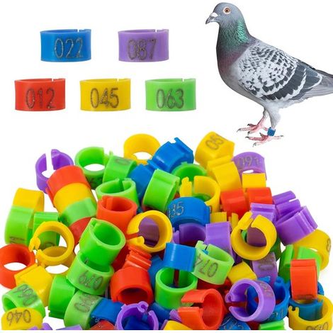 100 anelli per zampe di uccelli da 8 mm, con codice colore e numerazione, per marcare piccioni, quaglie e uccelli di piccola taglia. (1/4)