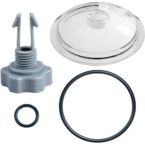 Pair Couvercle de pompe de piscine, filtre de filtration puissant pour sable Intex SF80110-1, durable et facile à installer, pièces de rechange parfaites (1/4)