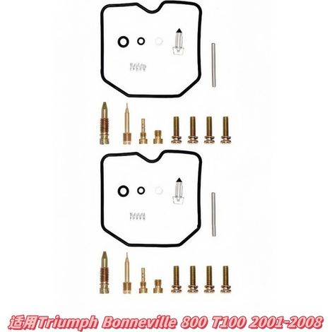 Repair kit for Triumph Bonneville 800 T100 rebuild kit 2001-2008