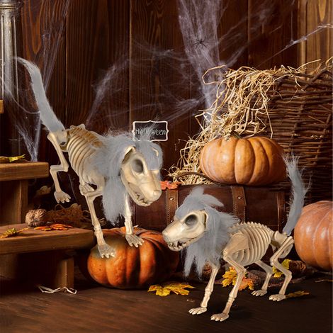 Squelette de chien en plastique avec fourrure, squelette de chien debout réaliste, crâne et os d'animal, accessoire effrayant pour maison hantée, cimetière et décoration de Noël (1/5)