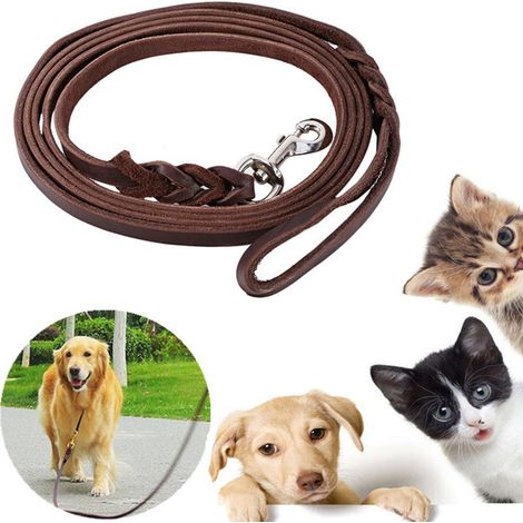 Laisse de dressage pour chien Pets, en cuir tressé long et résistant, idéale pour les promenades. (1/5)