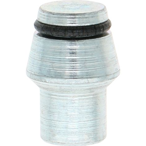 Tappo idraulico fiØ 10 mm 500 BAR 50003 (1/3)
