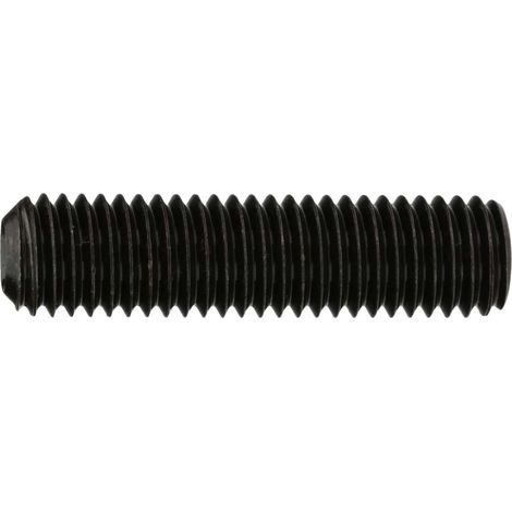 Reidl ISO 4029 Gewindestifte M24x100, mit Innensechskant/Ringschneide, 45 H blank (1/3)